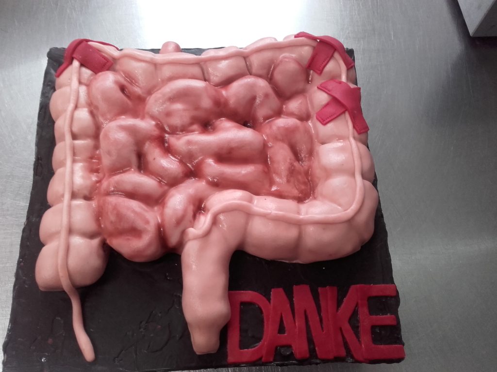 Anatomische Organtorte in Form eines Dickdarms mit detailgetreuem Design und essbaren Elementen von Konditorei & Café Krüsmann Leipzig